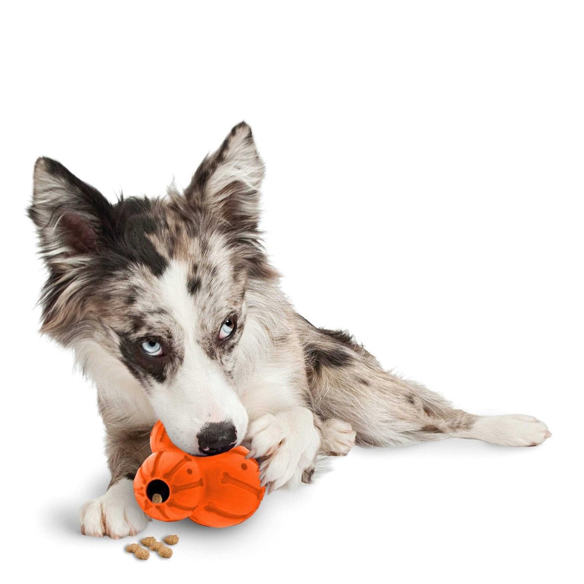 Pet Supplies M786