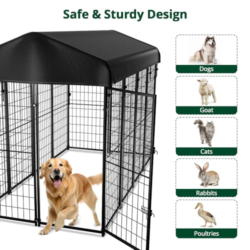 8'x6'x4' Outdoor Dog Kennel with Roof V87763