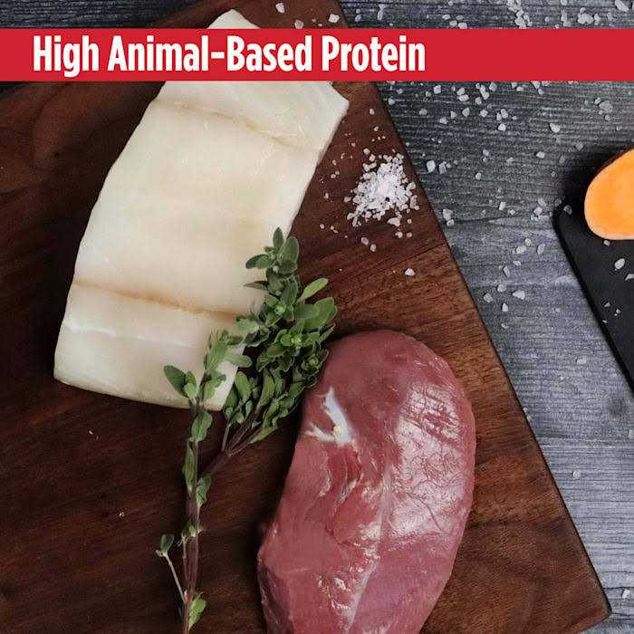 Grain Free Turkey Dry Cat Food A701064