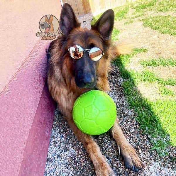 Soccer Ball Pet Supplies Z424