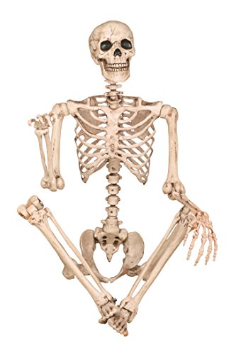 5 FT Poseable Skeleton Halloween Decoration T733420