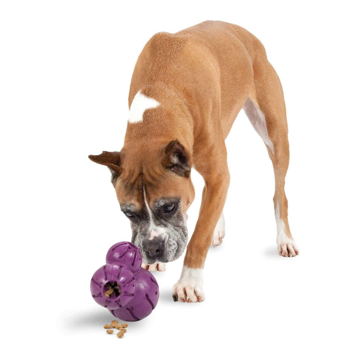 Pet Supplies M786