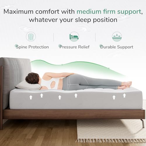 Full Size 12 Inch Memory Foam Mattress with Removable Washable Cover S96040