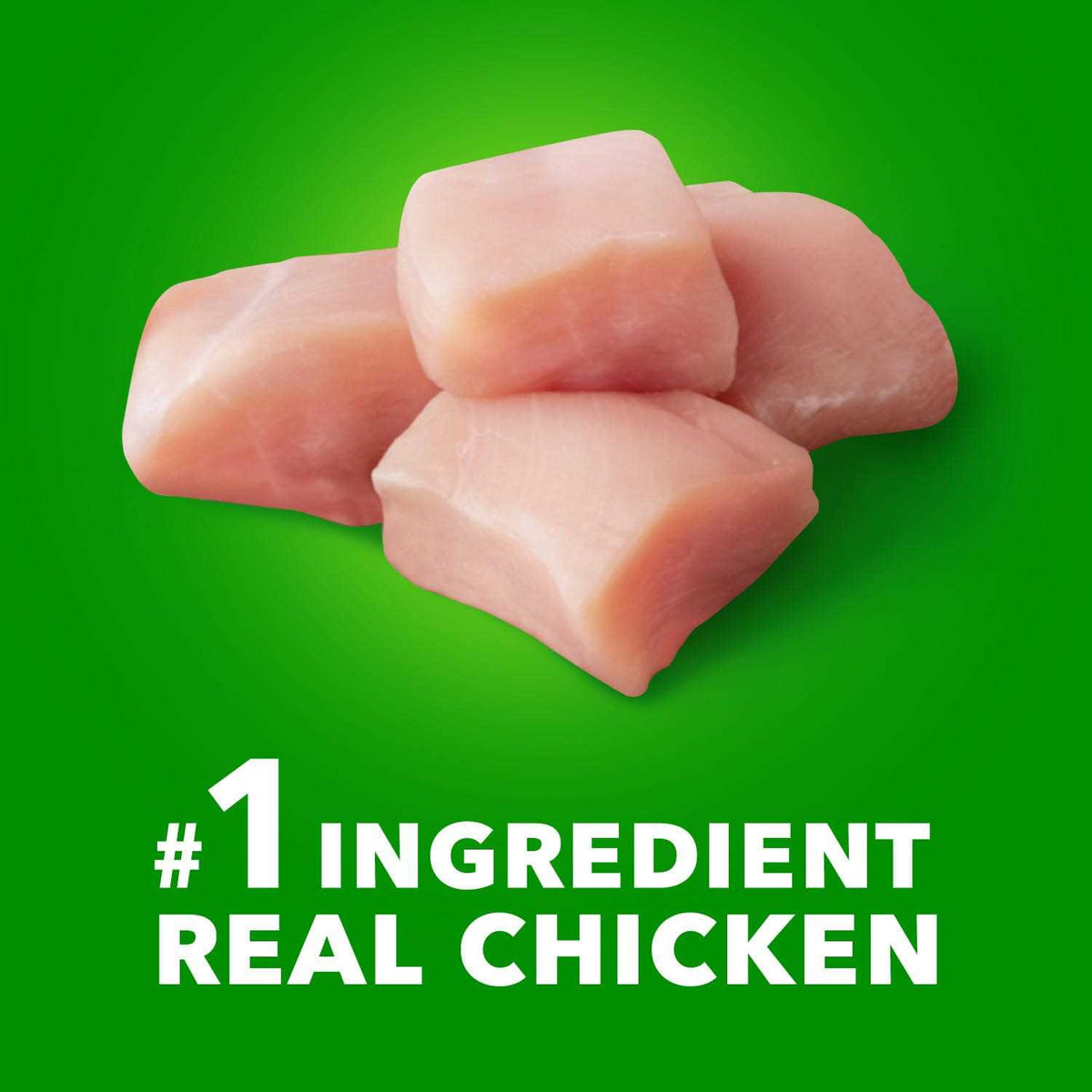 Chicken Dry Dog Food I689