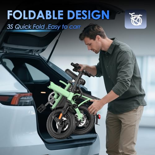 Folding Electric Bike 500W Motor 48V 13Ah Removable Battery V798