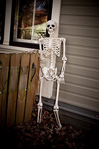 5 FT Poseable Skeleton Halloween Decoration T733420