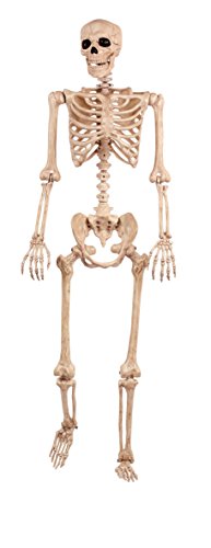 5 FT Poseable Skeleton Halloween Decoration T733420