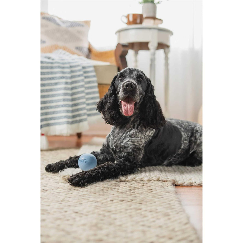 Rubber Balls and Rubber Chew Stick M328