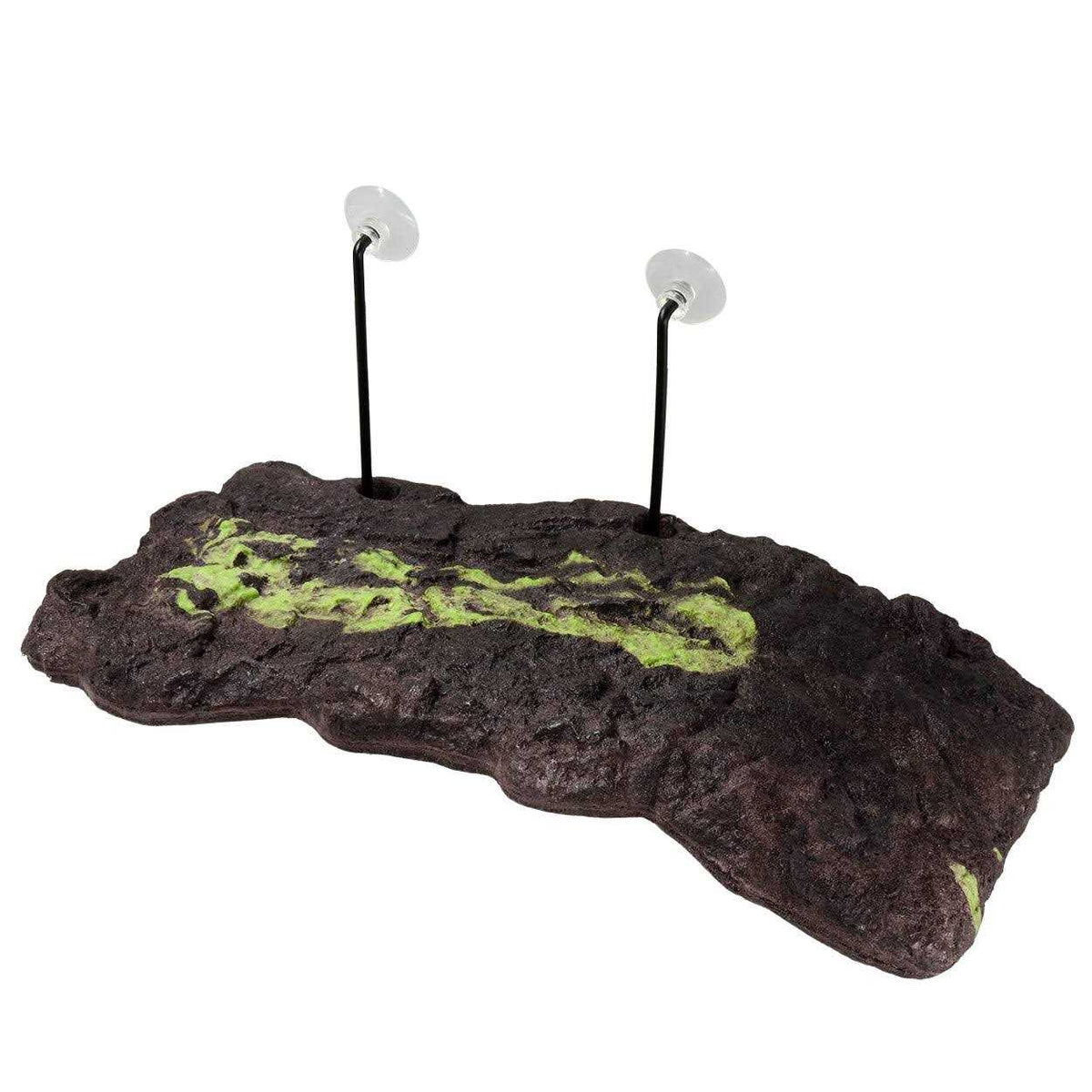 Floating Turtle Dock J31940
