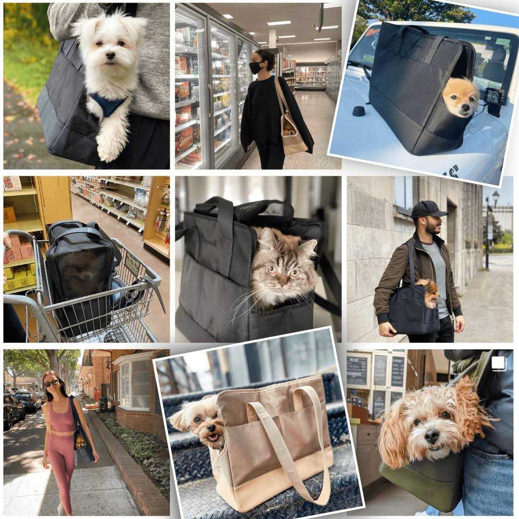 Pet Tote Bag for Small Dogs and Cats O31264