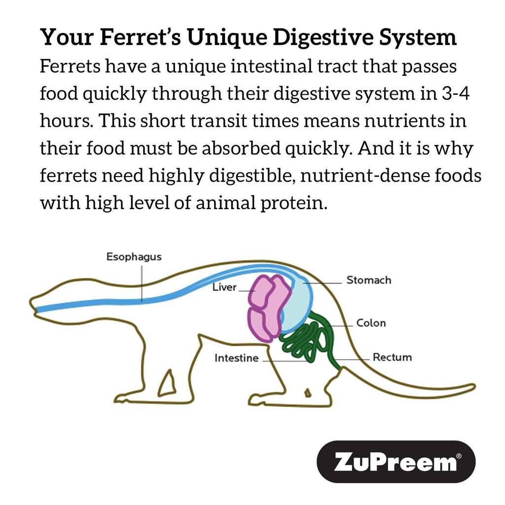 Ferret Diet X52415