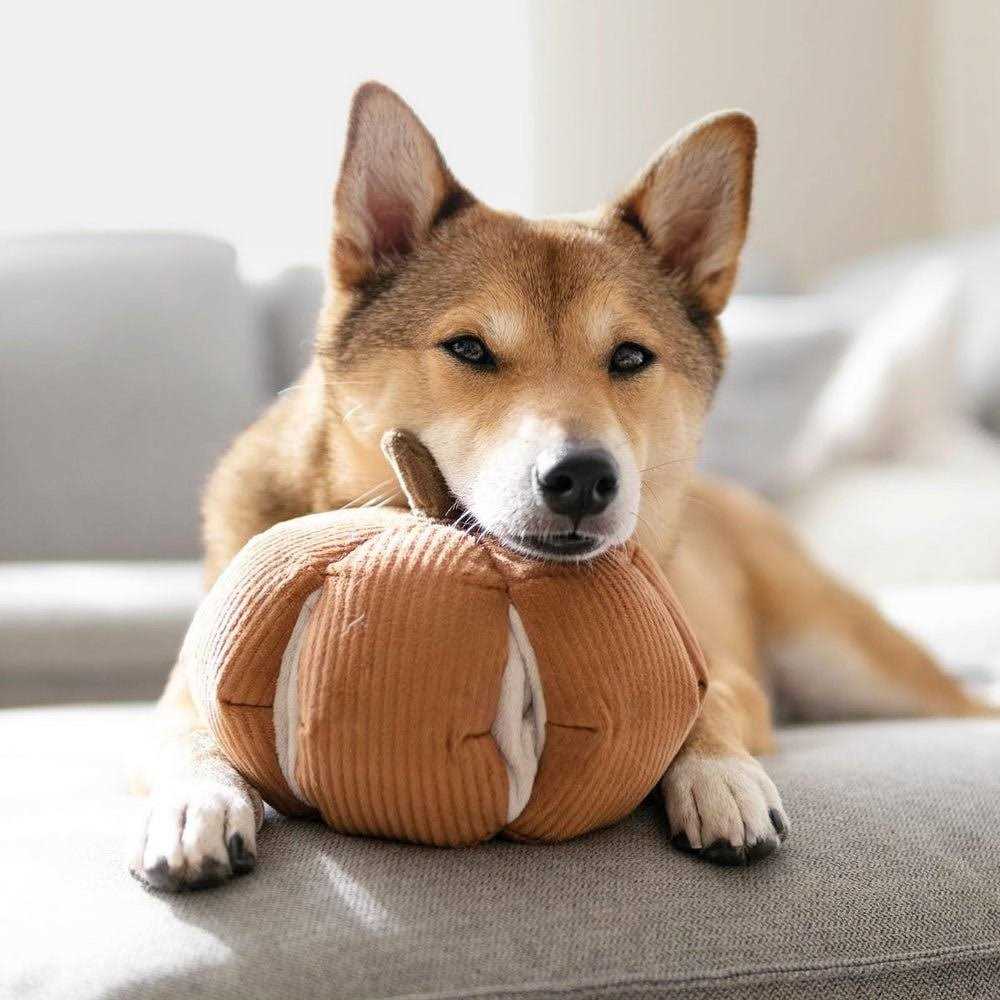 Snuffle Gourd Dog Toy G2381
