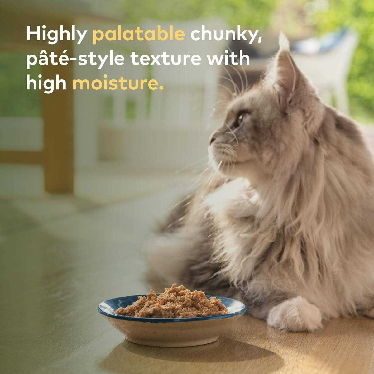 Chicken Recipe Canned Cat Food R6788