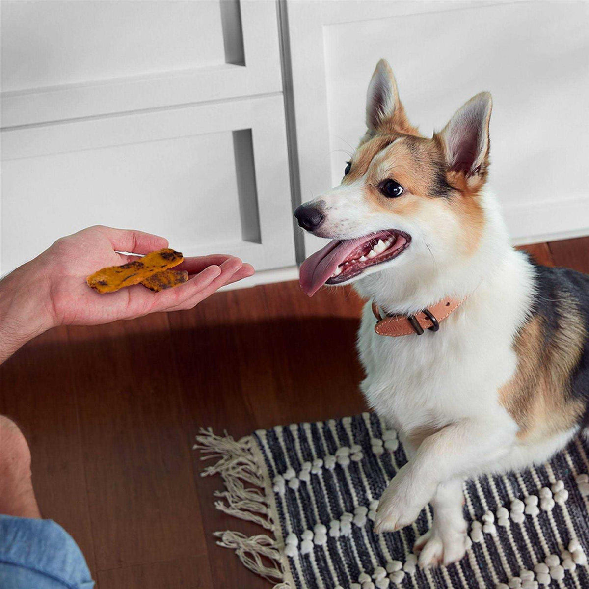 Turkey Recipe Dog Treats R93197