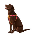 Yellow & Pink Ombre Dog Harness C647082