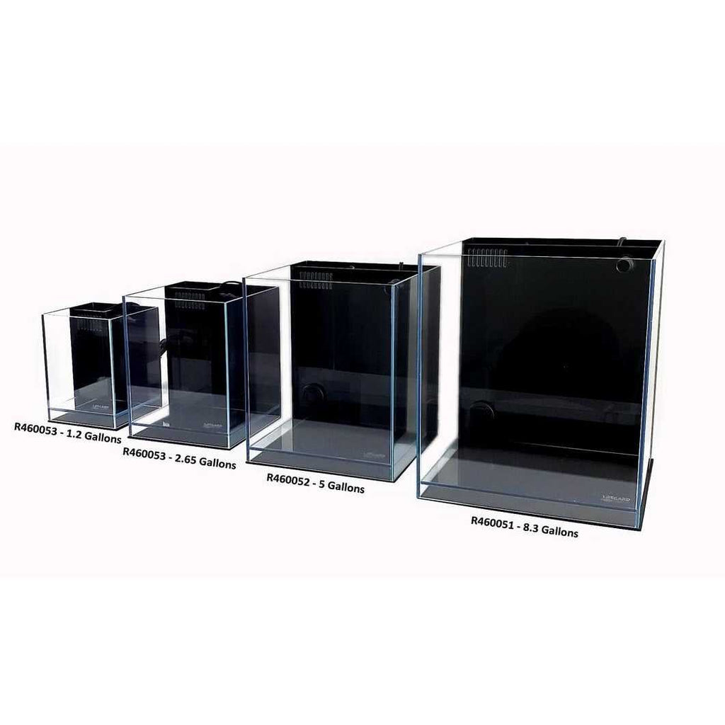 Ultra Low Iron Glass Aquarium with Filter M9289
