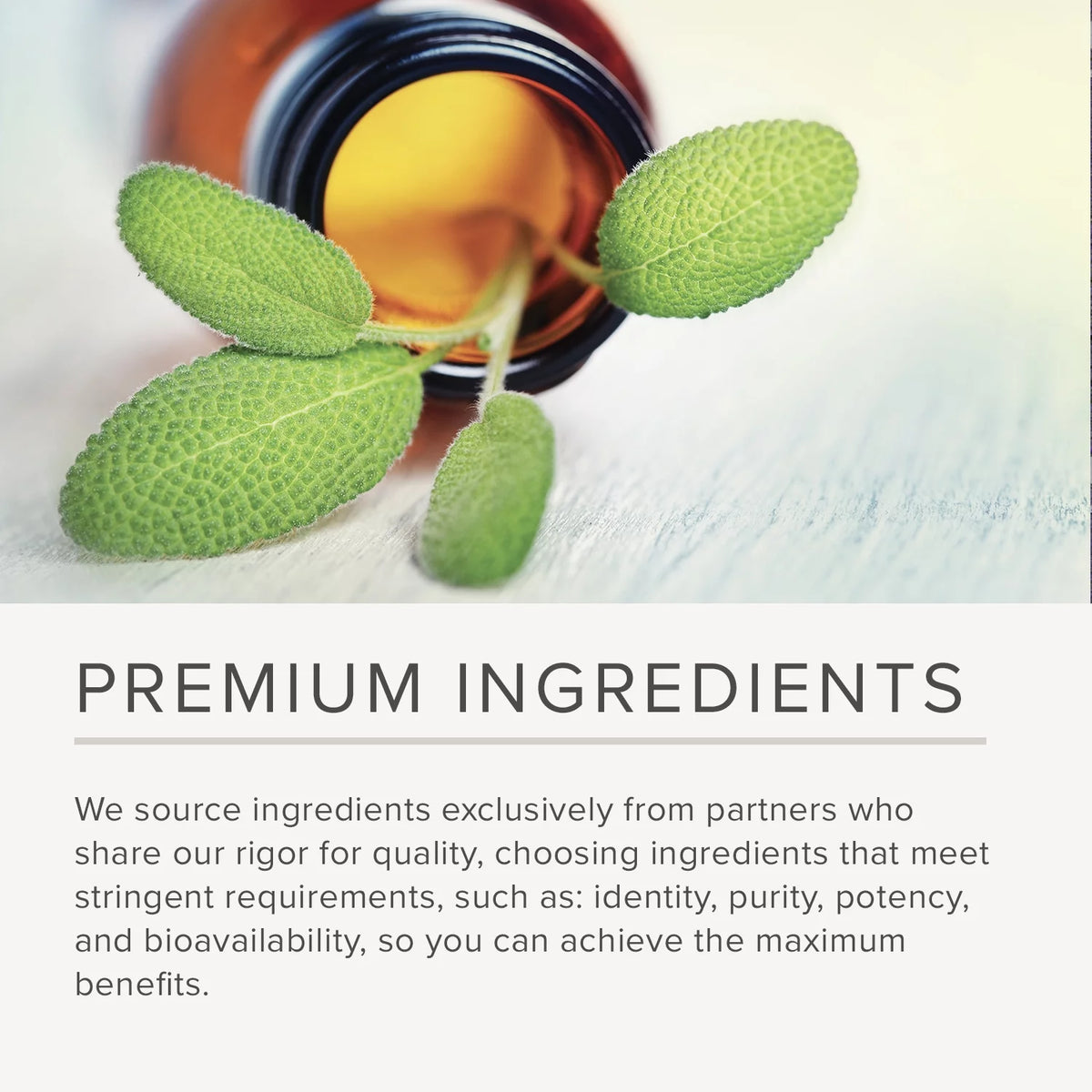 Lipase Enzyme Supplement 90 Vegan Capsules Q41054