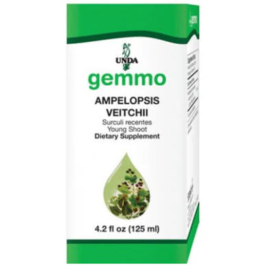 Ampelopsis veitchii 125 ml L942