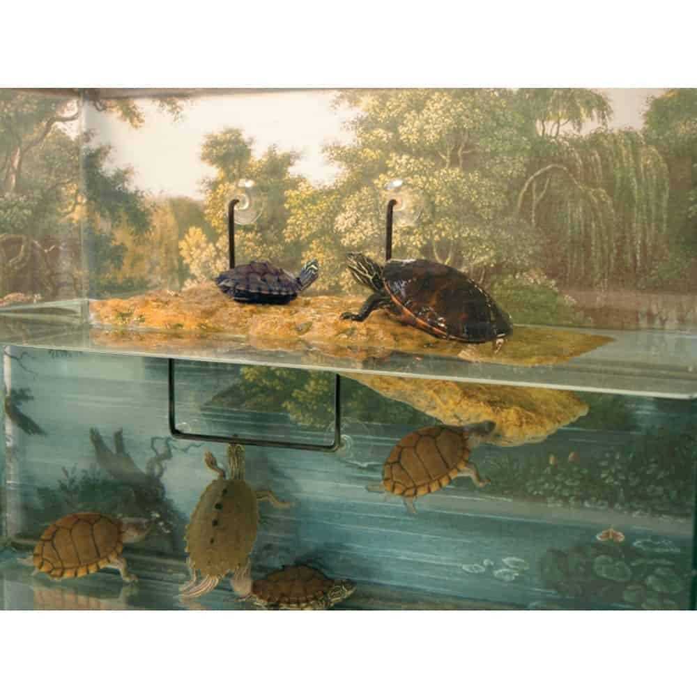Floating Turtle Dock J31940