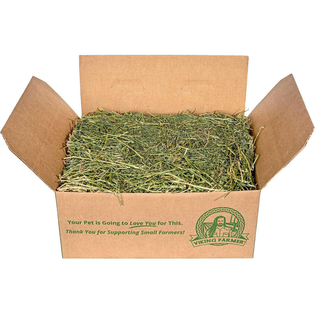 Alfalfa Hay for Rabbits & Small Pets W775952