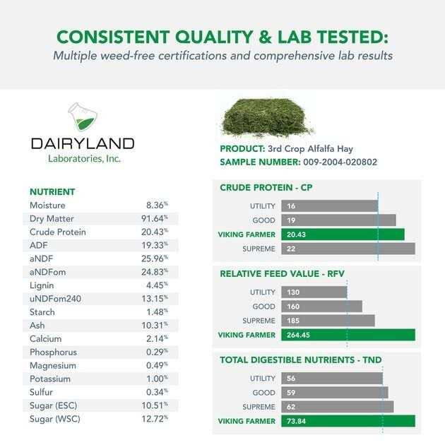 Alfalfa Hay for Rabbits & Small Pets W775952